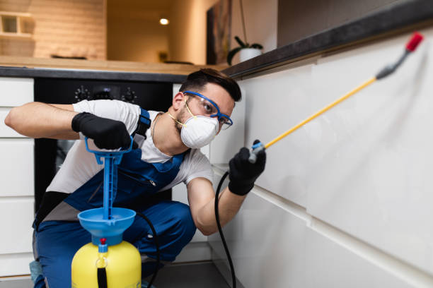 Best Best Pest Control Companies  in Grand Bay, AL