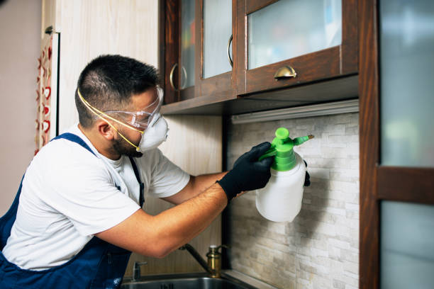 Best Bed Bug Extermination  in Grand Bay, AL