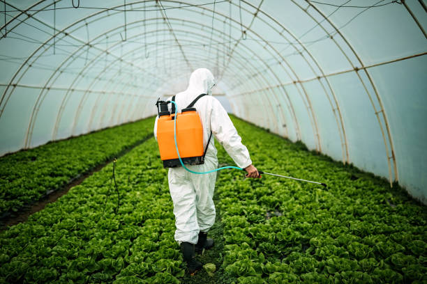 Best Pest Removal Services  in Grand Bay, AL