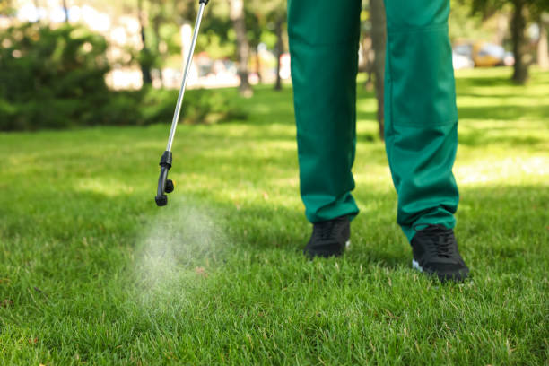 Best Exterminator Services  in Grand Bay, AL