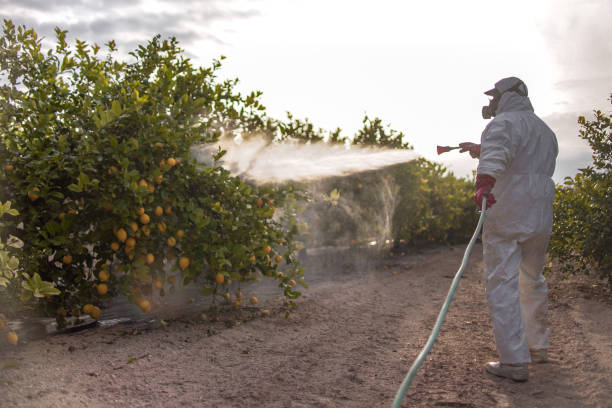 Best Pest Inspection Near Me  in Grand Bay, AL