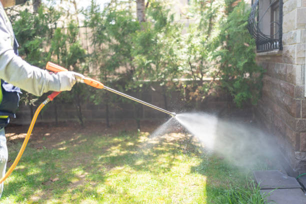 Best Flea Control Services  in Grand Bay, AL