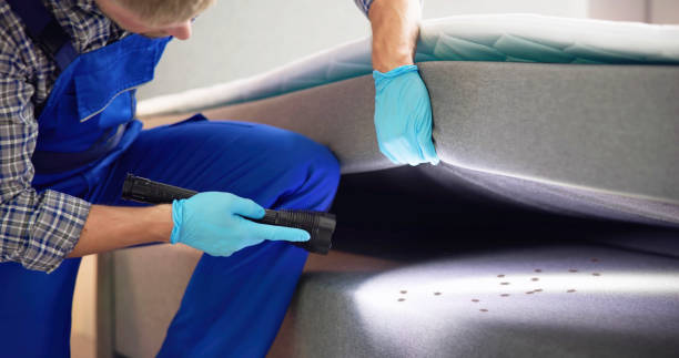 Best Pest Control for Restaurants  in Grand Bay, AL