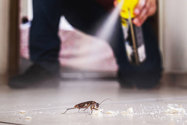 Best Residential Pest Control  in Grand Bay, AL