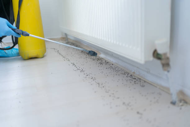 Best Pest Control for Homes  in Grand Bay, AL